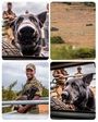Rhino Conservation With Chipembere Rhino Foundation 4 Rhino Conservation With Chipembere Rhino Foundation 4
