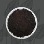 Pavane Orange Pekoe 768x770